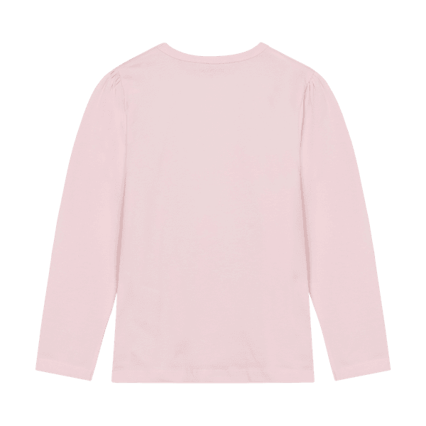 Paw patrol power girls 